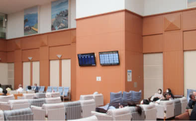 Medical Examination/Payment Information Display (Hospital Hall)