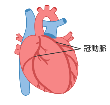 冠動脈