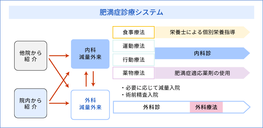 肥満症診療システム