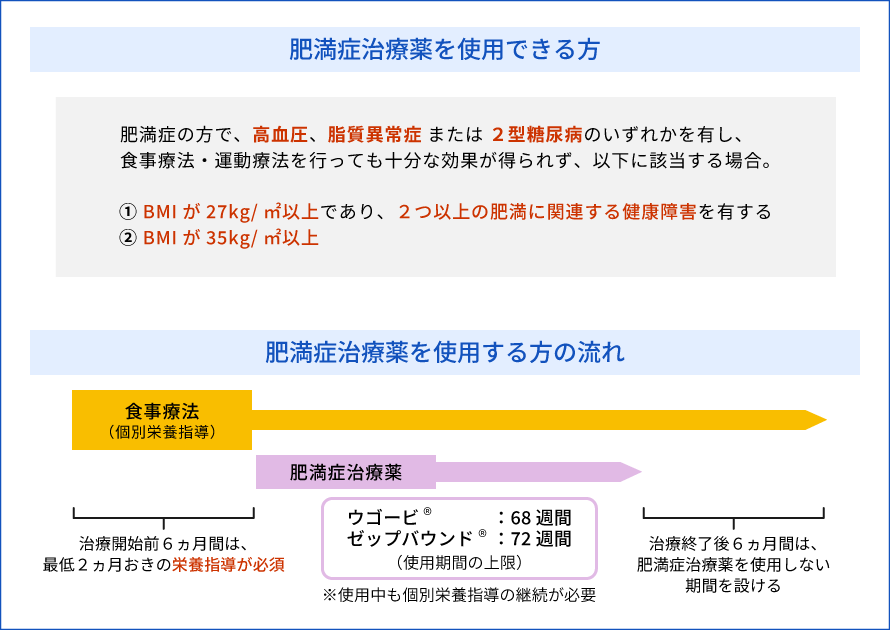 肥満症治療薬を資料医できる方、使用する方の流れ