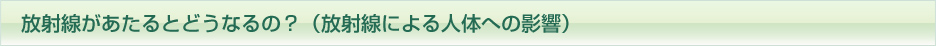 放射線があたるとどうなるの？（放射線による人体への影響）