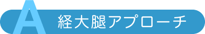 A 経大腿アプローチ