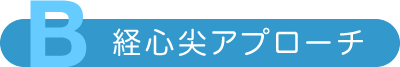 B 経心尖アプローチ